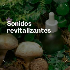 Download track Sonidos Purificadores Armonías Revitalizantes