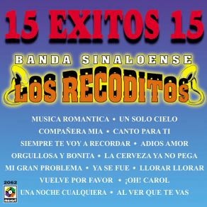 Download track Compañera Mia Banda Sinaloense Los Recoditos