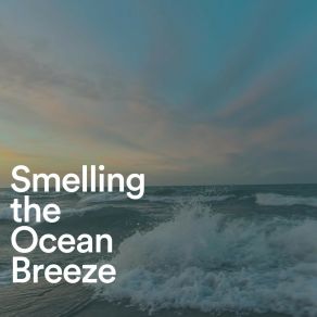 Download track Ocean Breeze Wave Sound Group