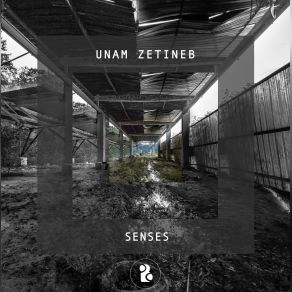 Download track Vis Unam Zetineb