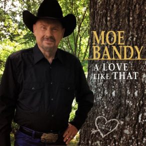 Download track Life Of A Rodeo Cowboy Moe Bandy