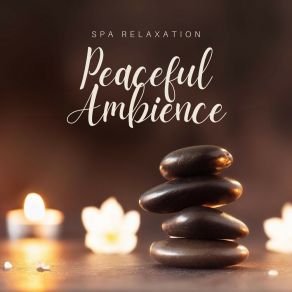 Download track Soothing Sands SPA RELAXATION