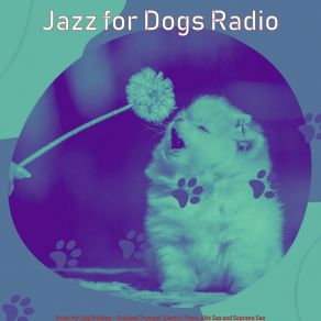 Download track Sophisticated Smooth Jazz Saxophone - Vibe For Well Behaved Dogs Jazz For Dogs Radio