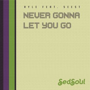 Download track Never Gonna Let You Go (Instrumental) Ryle, Seest