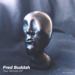 Download track Transitory Life Fred Buddah