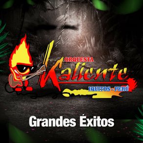 Download track Me Voy De Tu Vida Orquesta Kaliente De Iquitos