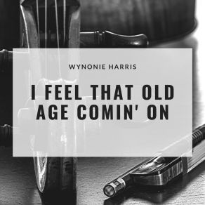 Download track Grandma Plays The Numbers Wynonie Harris