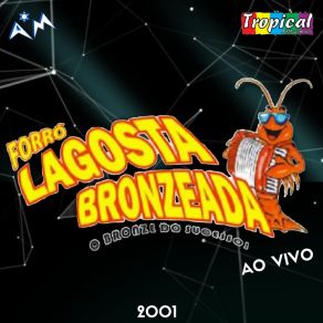 Download track Esquenta Moreninha (Ao Vivo) LAGOSTA BRONZEADA
