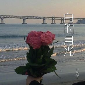 Download track 想你这件事 叶澜兮