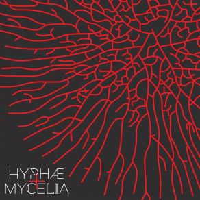 Download track Myphae + Mycelia SabianiStromlinie