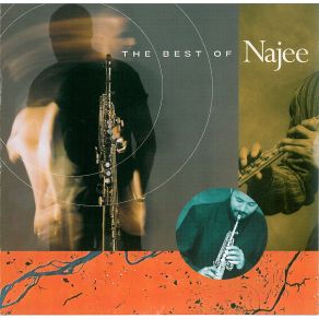 Download track For The Love Of You Najee