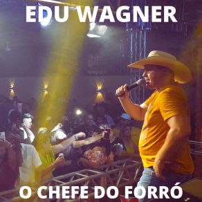 Download track Já Não Consigo Te Imaginar Como Amigo Edu Wagner