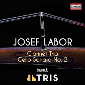 Download track Labor: Cello Sonata No. 2 In C Major: III. Rondo. Adagio Ensemble Tris