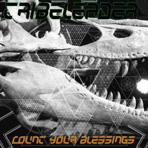 Download track Count Your Blessings (Instrumental) TribeleaderΟΡΓΑΝΙΚΟ