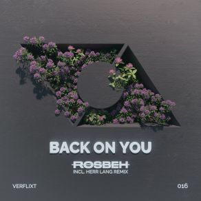 Download track Back On You (Herr Lang Remix) RosbehHerr Lang