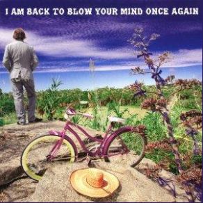 Download track Fall On My Own Sword Peter Buck