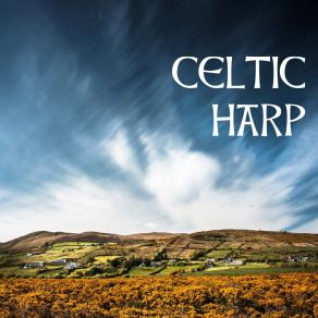 Download track Pure Harp Music Celtic Dreams