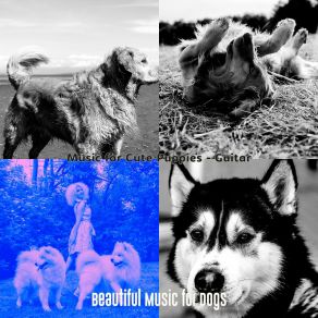 Download track Happy Ambiance For Lonely Dogs Beautiful Music For Dogs