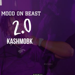 Download track Die Wit It Kashmobk