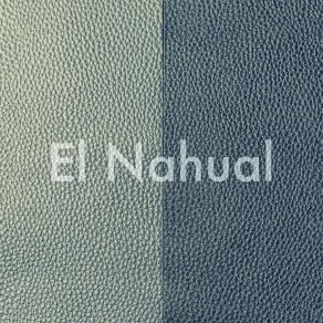 Download track El Nahual Sayulita