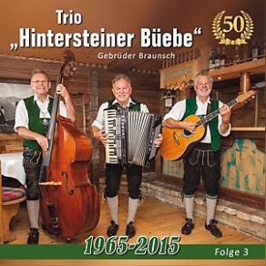 Download track Alpenrosen Laendler Trio Hintersteiner Bueebe