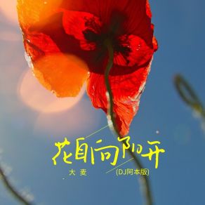 Download track 花自向阳开 (DJ阿本版伴奏) Ben A