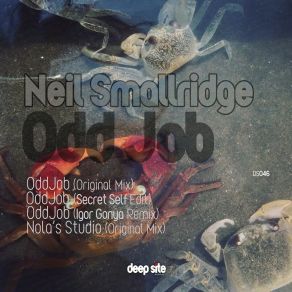 Download track Odd Job (Igor Gonya Remix) Neil Smallridge