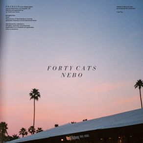 Download track One Day Story (Edit) Forty Cats