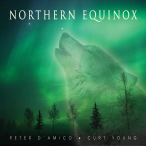 Download track Northern Ghosts Peter D'Amico