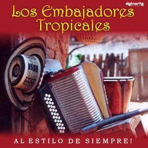 Download track Parrandeando En Los Nuñez Los Embajadores Tropicales