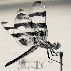 Download track Black Kite Soci3ty