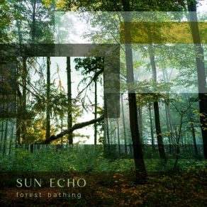 Download track Woodlands Awaken (No Nature Ambience) Sun Echo