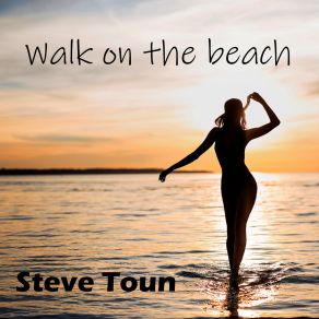 Download track Walk On The Beach Steve Toun