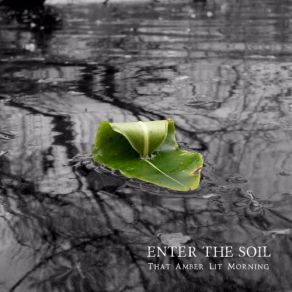 Download track The Day The Boy Drowned Enter The Soil