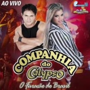 Download track Ninguém Vai Te Amar Como Eu Te Amei Companhia Do Calypso