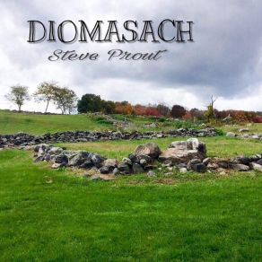 Download track Fiddle And Bow (Extended Version) Diomasach - Steve Prout