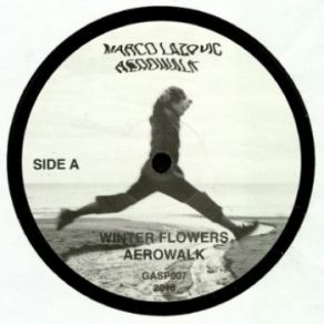 Download track Winter Flowers Marco Lazovic