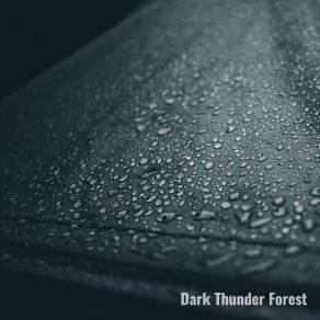 Download track Rain On The Porch Dark Thunder Forest