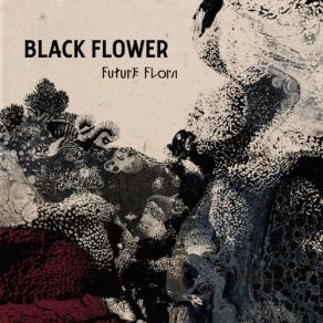 Download track Clap Hands Black Flower