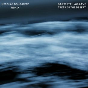 Download track Trees In The Desert (Nicolas Bougaiëff Remix) Baptiste LagraveNicolas Bougaïeff