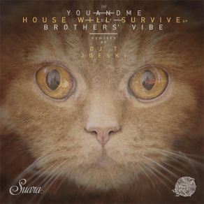 Download track House Will Survive (Joeski Dub Remix) Youandme