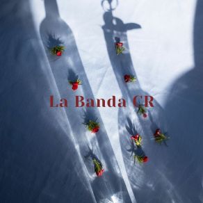 Download track Al Ritmo De Cumbia La Banda CR