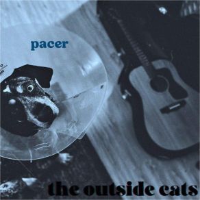 Download track The Birds The Outside Cats