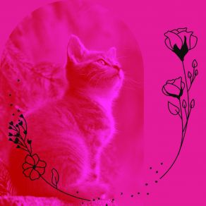 Download track Sunny Music For Cozy Kittens Cat Total Relax