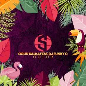 Download track Color (Radio Mix) Dj Funky COgün Dalka