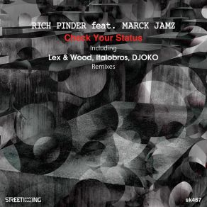 Download track Check Your Status (Djoko Remix) Rich PinderDjoko