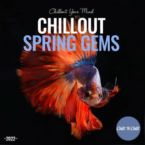 Download track And Shine (Original Mix) Dellasollounge