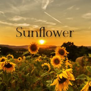 Download track Sunflower Eric Rosenfeldt