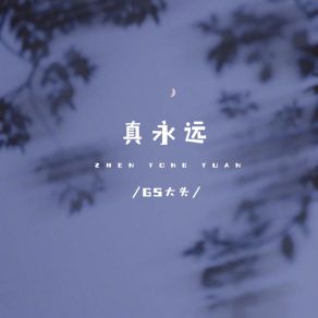 Download track 真永远 (Dj光波版 伴奏) 光波