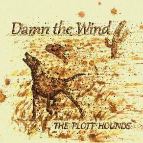 Download track Lay You To Rest The Plott Hounds